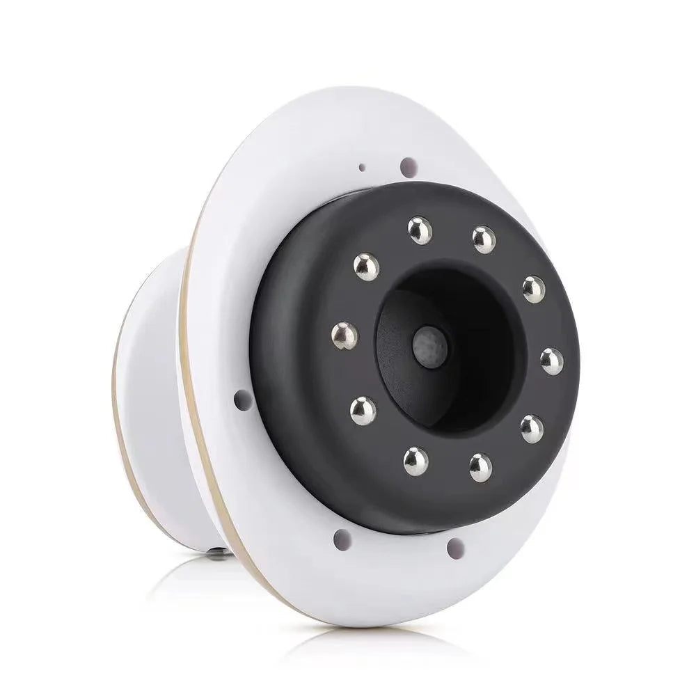 Viorra Body Fat Burner